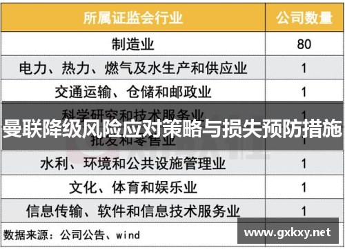 曼联降级风险应对策略与损失预防措施