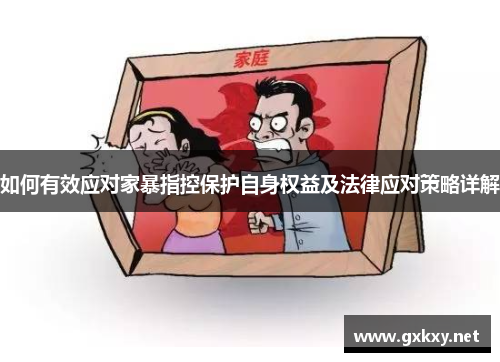 如何有效应对家暴指控保护自身权益及法律应对策略详解