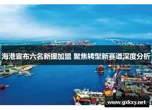海港宣布六名新援加盟 聚焦转型新赛道深度分析