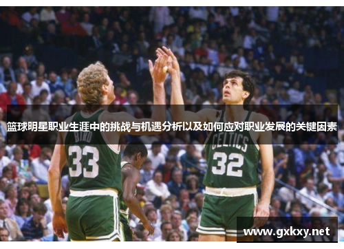 篮球明星职业生涯中的挑战与机遇分析以及如何应对职业发展的关键因素
