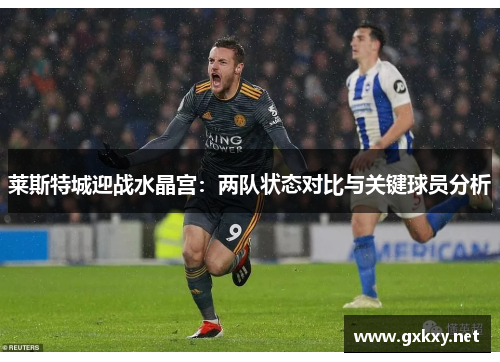 莱斯特城迎战水晶宫：两队状态对比与关键球员分析
